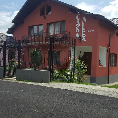 Vila Alex Hotel Calimanesti Exterior photo