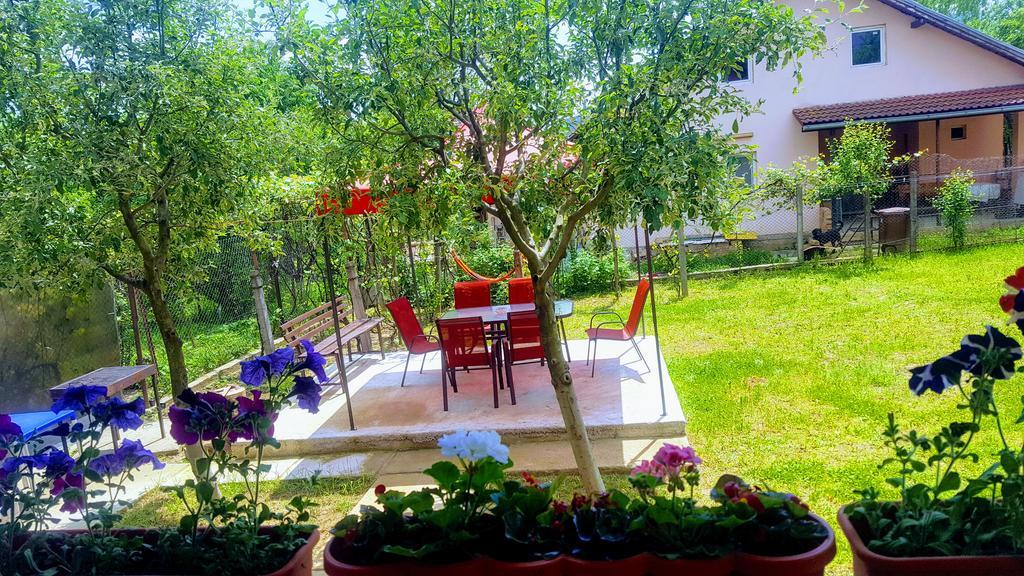 Vila Alex Hotel Calimanesti Exterior photo