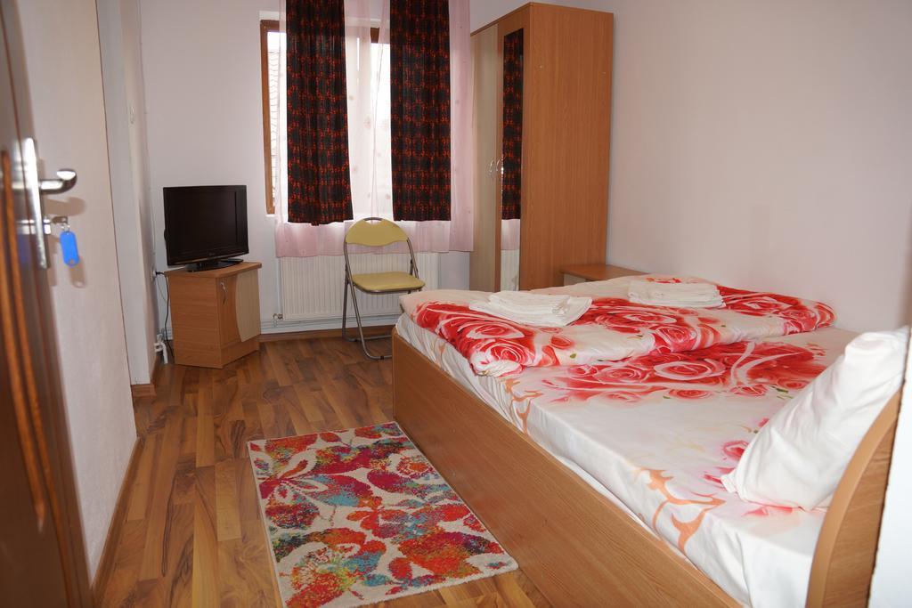 Vila Alex Hotel Calimanesti Exterior photo