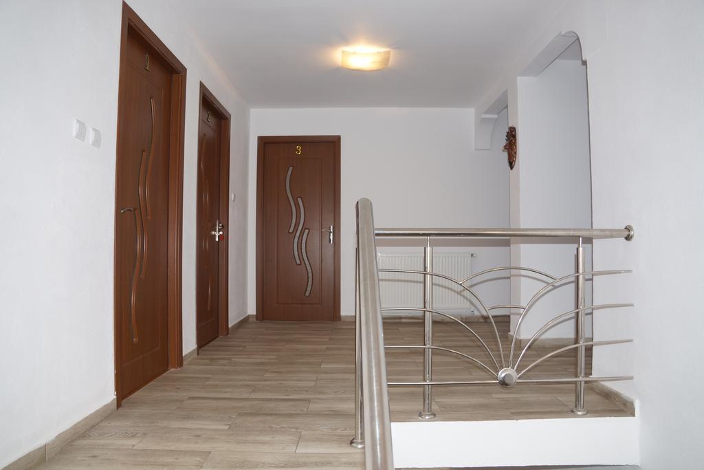 Vila Alex Hotel Calimanesti Exterior photo