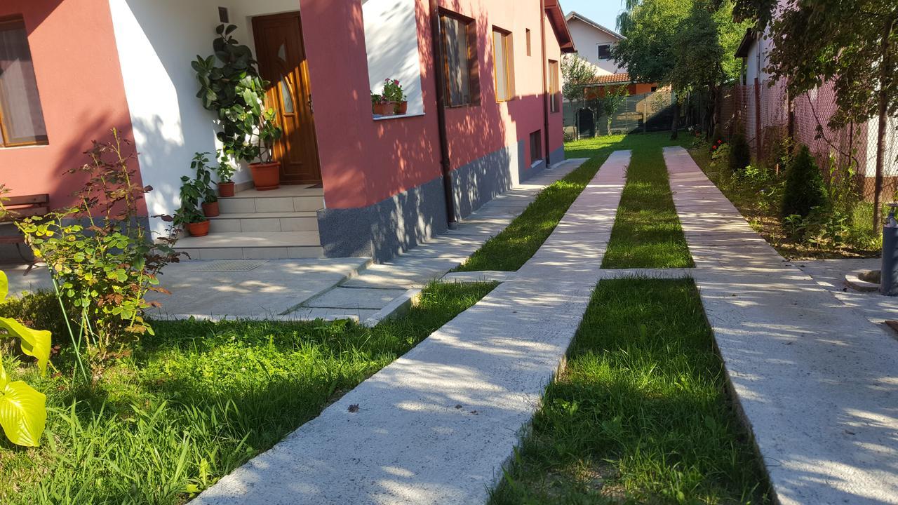 Vila Alex Hotel Calimanesti Exterior photo
